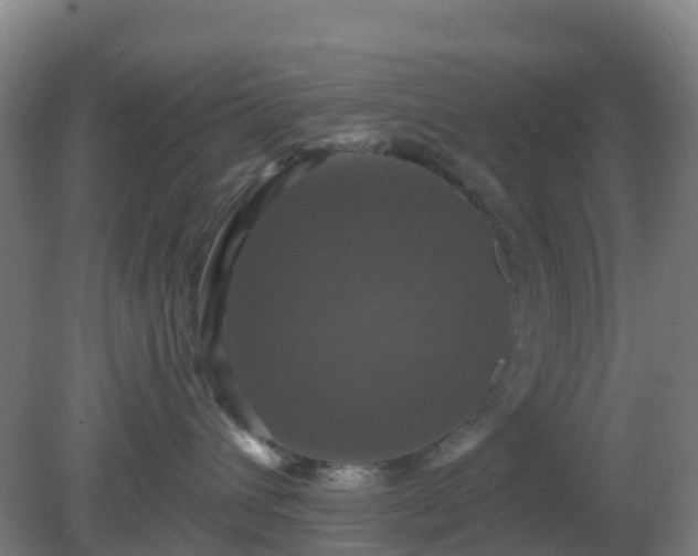 X0000081360432200701182117