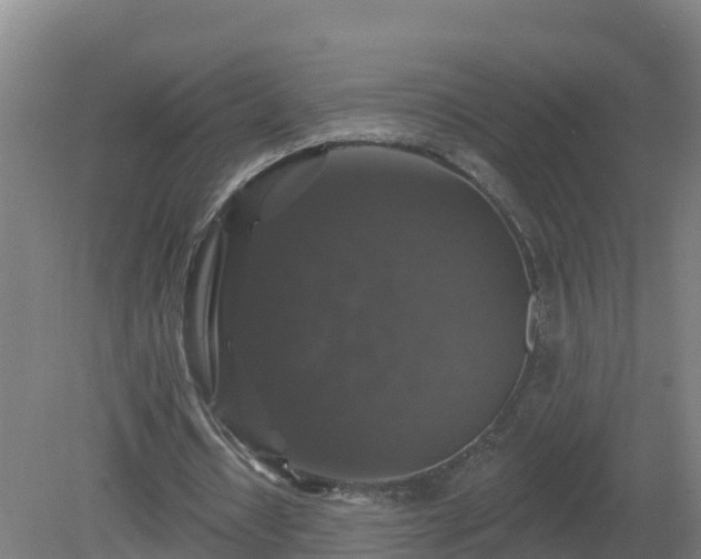 X0000081360434200701182117