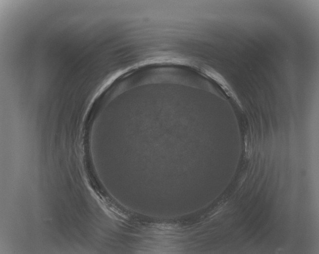 X0000081360436200701182117