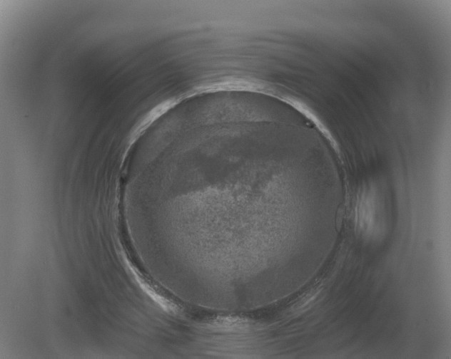 X0000081360437200701182117