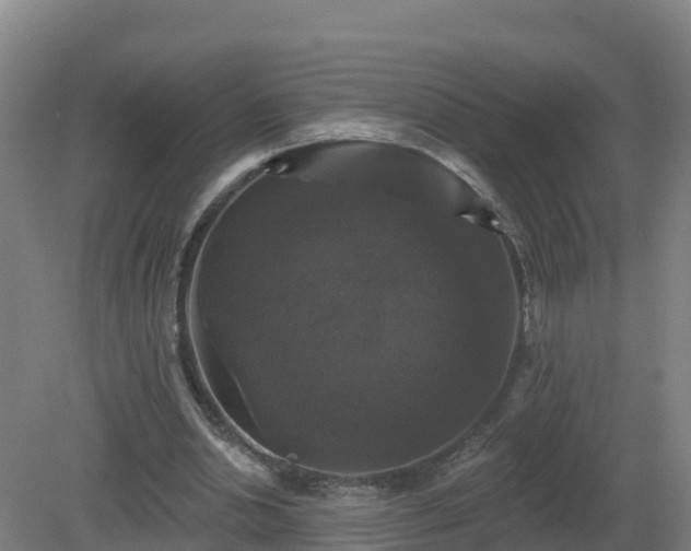 X0000081360438200701182117