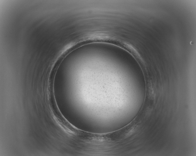 X0000081360439200701182117