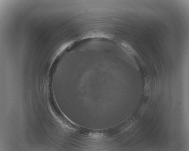 X0000081360440200701182117