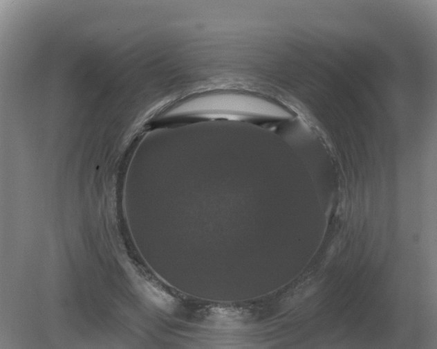 X0000081360442200701182117