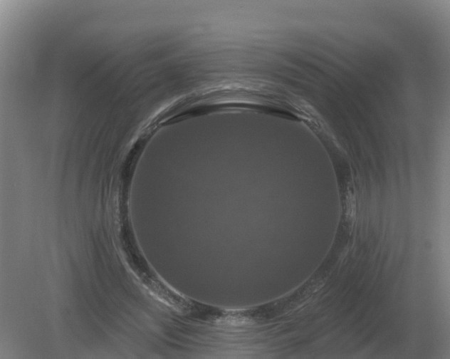 X0000081360444200701182117