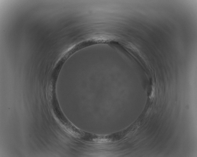 X0000081360448200701182117