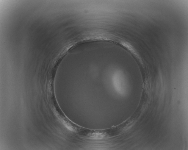 X0000081360449200701182117
