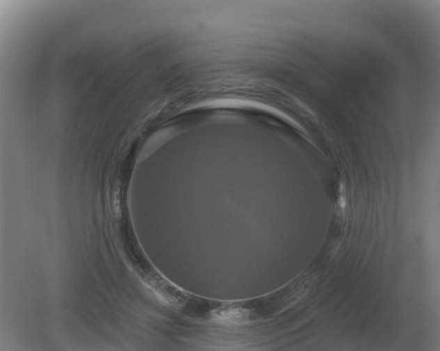 X0000081360452200701182117