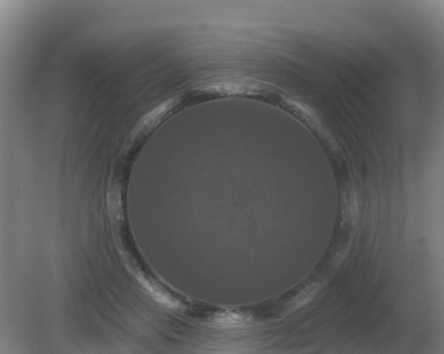 X0000081360453200701182117