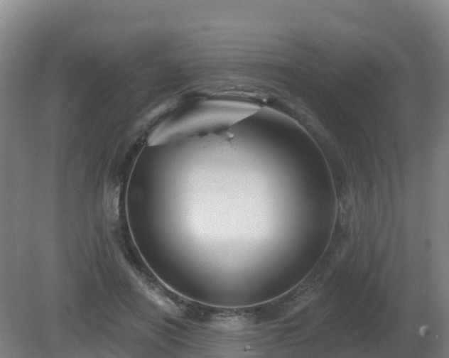 X0000081360454200701182117