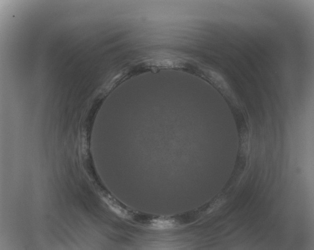 X0000081360457200701182117