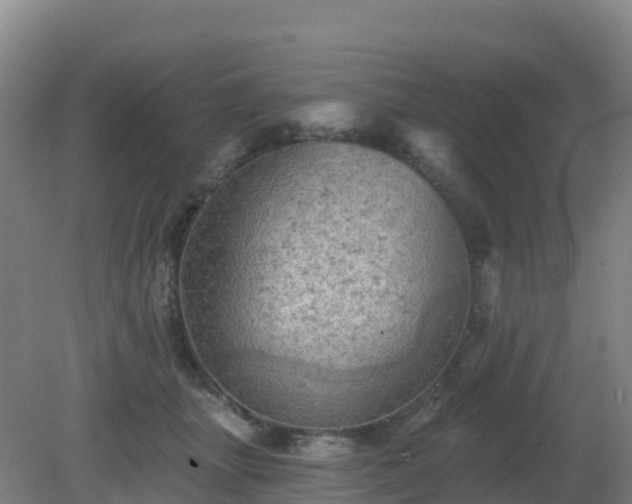X0000081360463200701182117