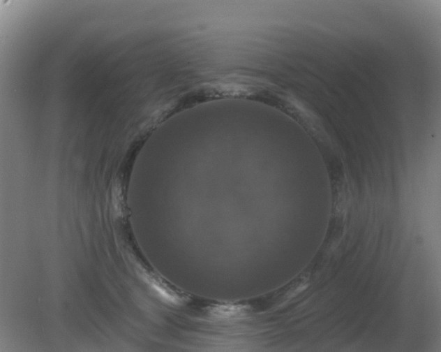 X0000081360465200701182117