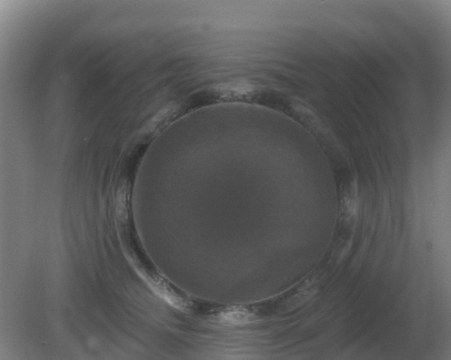 X0000081360468200701182117