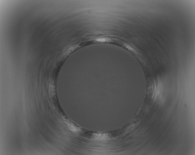 X0000081360469200701182117