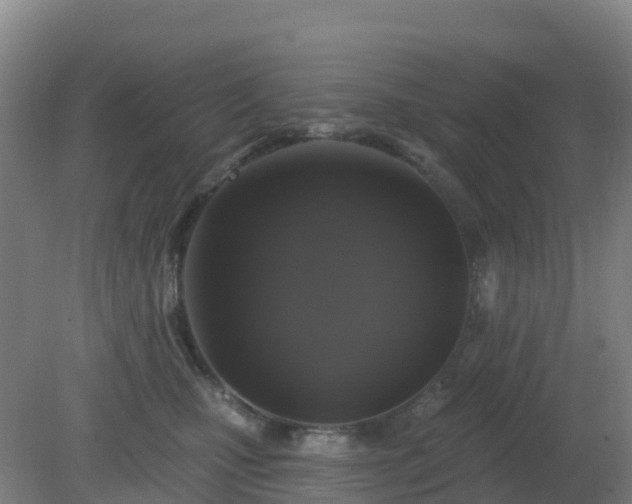 X0000081360471200701182117