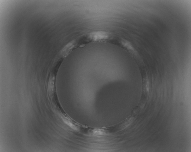 X0000081360475200701182117