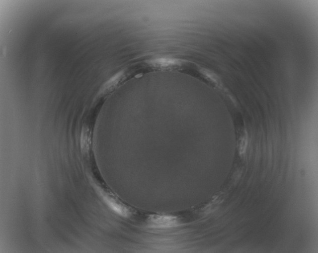 X0000081360476200701182117