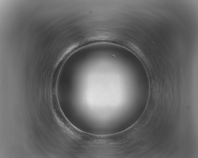 X0000081360482200701182117