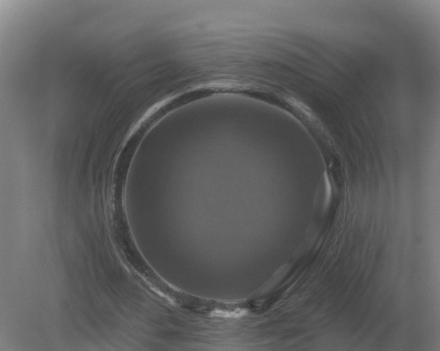 X0000081360484200701182117
