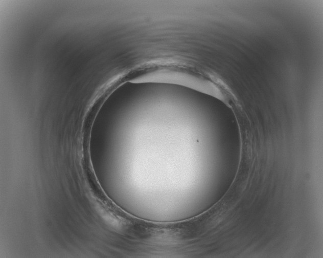 X0000081360486200701182117
