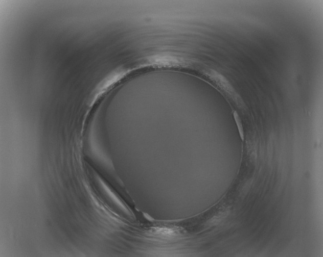 X0000081360488200701182117