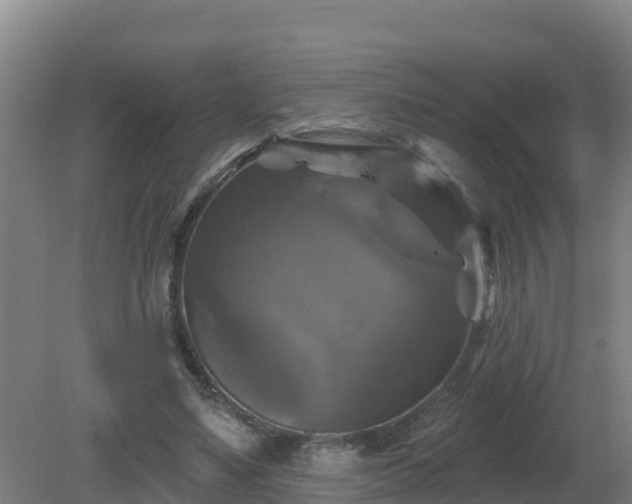 X0000081360491200701182116