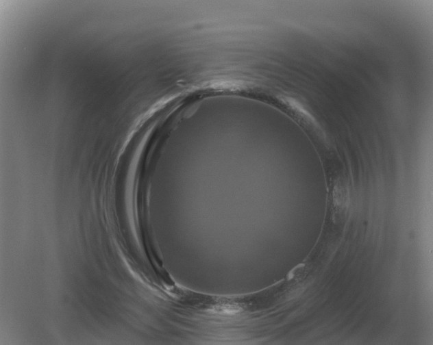 X0000081360492200701182116