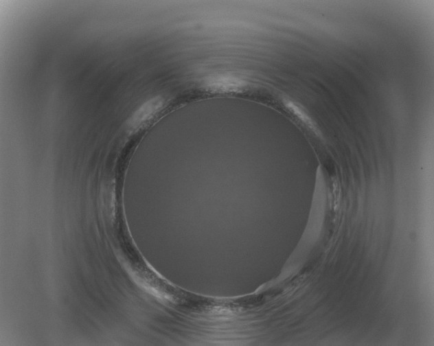 X0000081360494200701182116