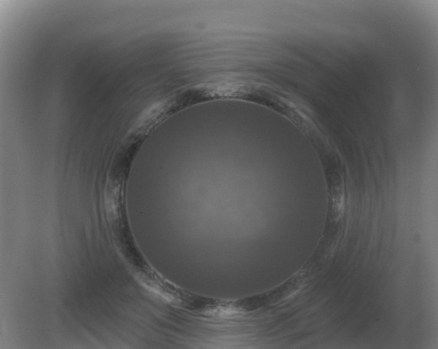 X0000081360503200701182116