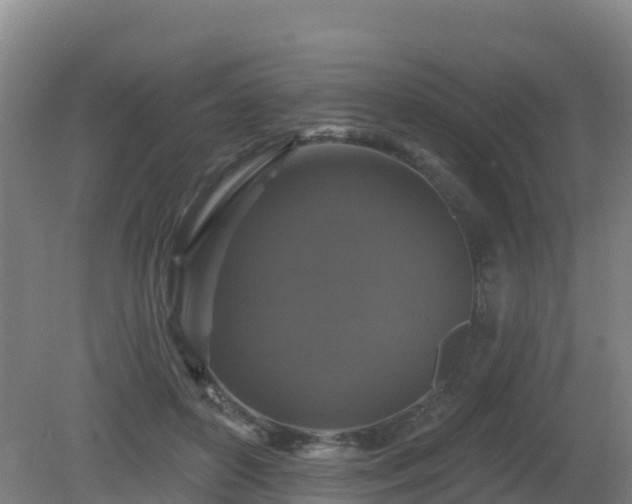 X0000081360504200701182116