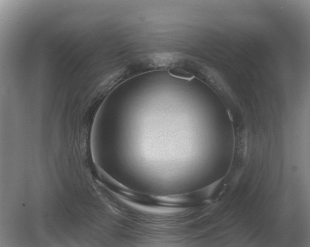 X0000081360505200701182116