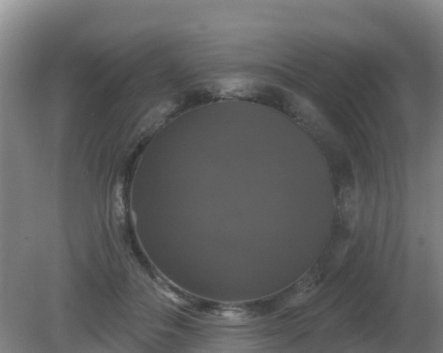 X0000081360506200701182116