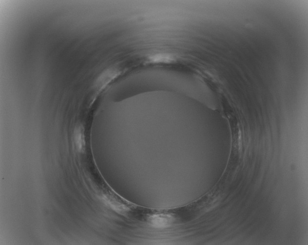 X0000081360508200701182116
