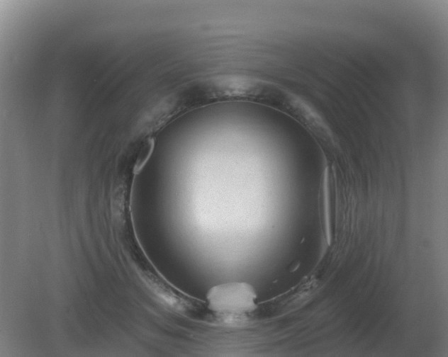 X0000081360509200701182116