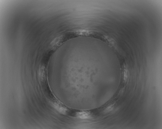 X0000081360511200701182116