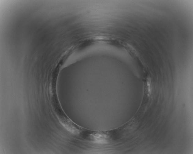 X0000081360512200701182116