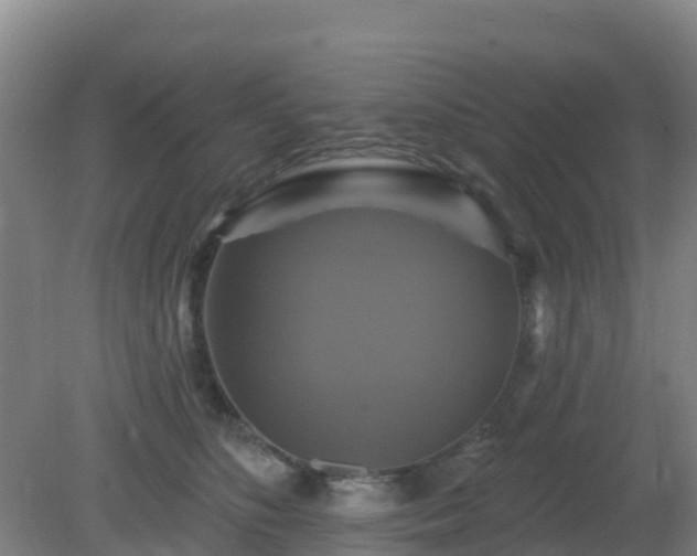 X0000081360516200701182116