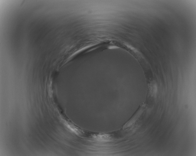 X0000081360517200701182116