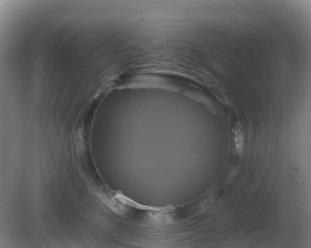 X0000081360520200701182116