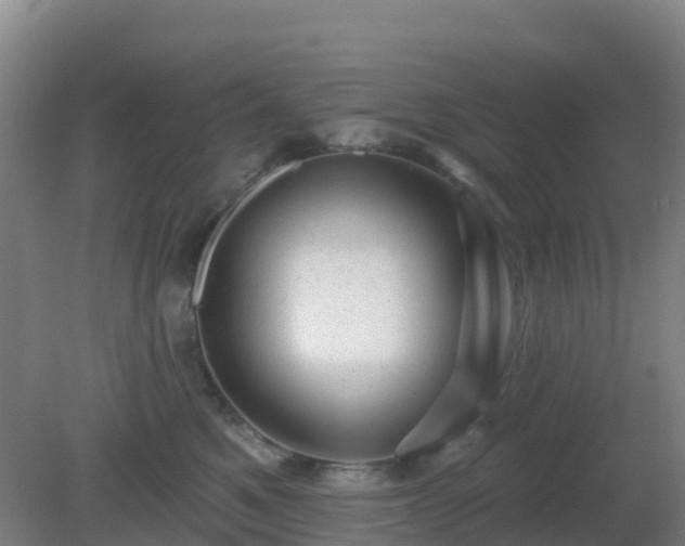 X0000081360521200701182116