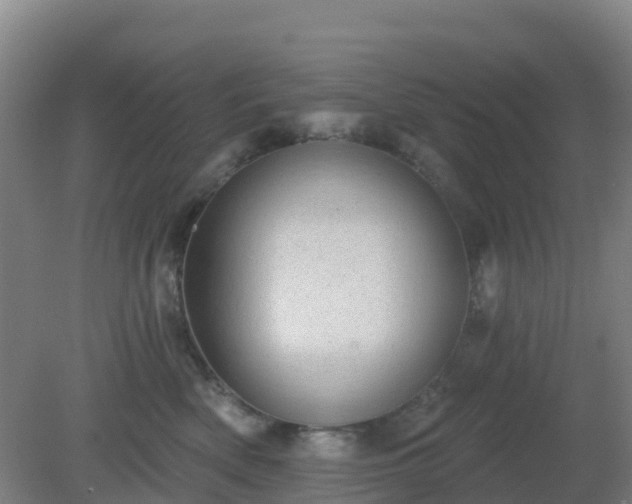 X0000081360522200701182116