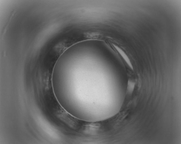 X0000081360525200701182116