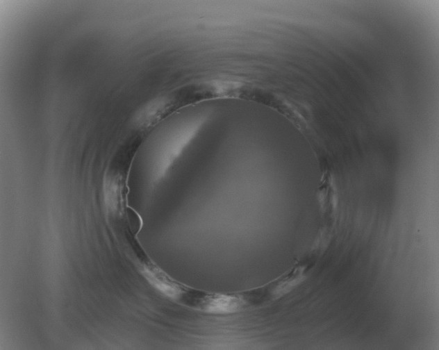 X0000081360527200701182116