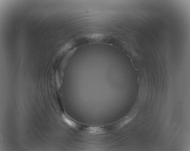 X0000081360528200701182116