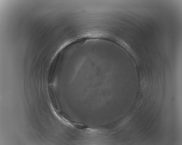 X0000081360530200701182115