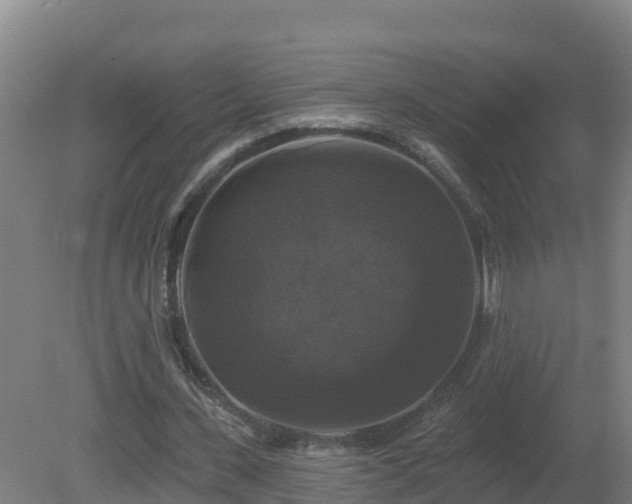 X0000081360531200701182115