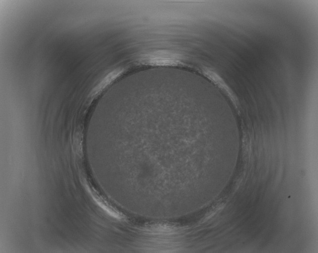 X0000081360533200701182115