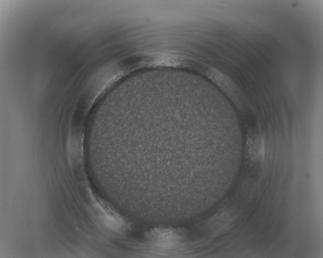 X0000081360534200701182115