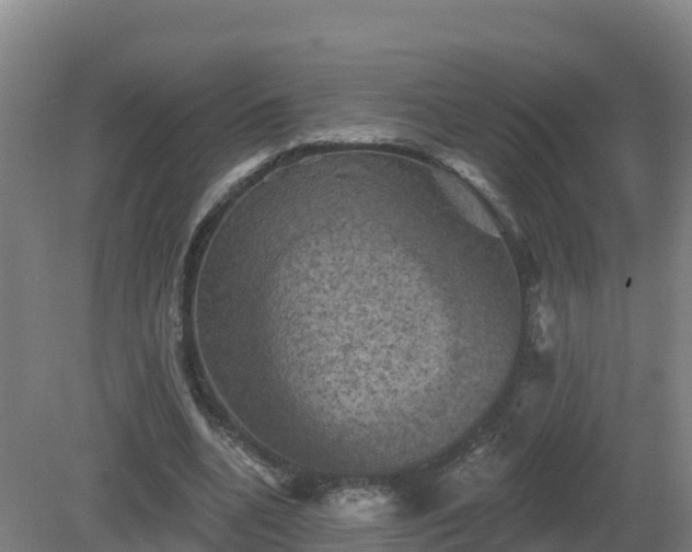 X0000081360536200701182115